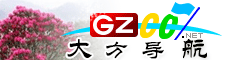 大方導航