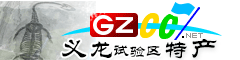 義龍新區特產大全