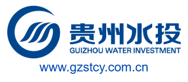 貴州水投產業發展有限責任公司的網址域名